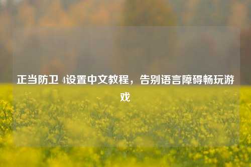 正当防卫 4设置中文教程，告别语言障碍畅玩游戏