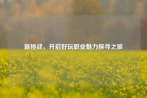 新挑战，开启好玩职业魅力探寻之旅