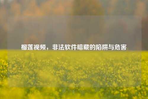榴莲视频，非法软件暗藏的陷阱与危害