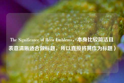The Significance of Hero Emblems，本身比较简洁且表意清晰适合做标题，所以直接将其作为标题）