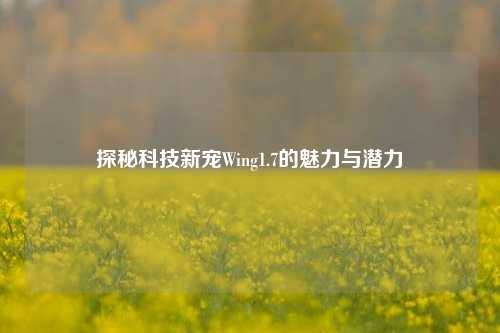 探秘科技新宠Wing1.7的魅力与潜力