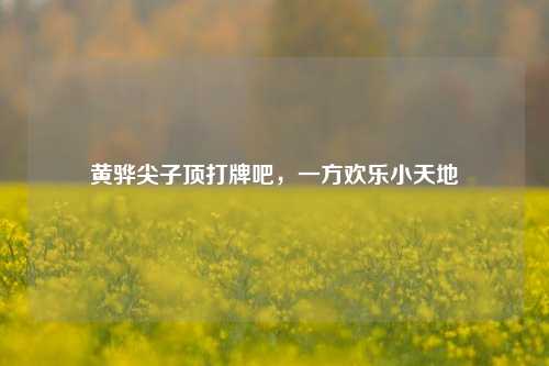 黄骅尖子顶打牌吧，一方欢乐小天地