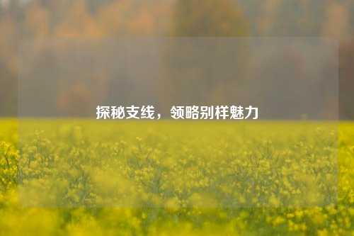探秘支线，领略别样魅力