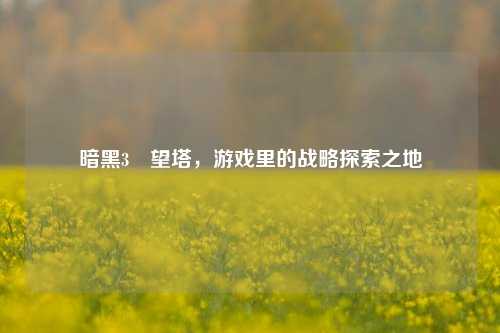 暗黑3瞭望塔，游戏里的战略探索之地