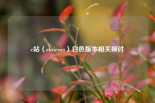 e站（ehviewer）白色版本相关探讨