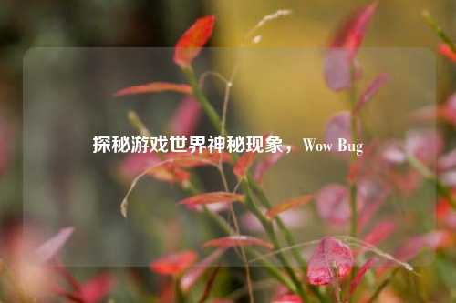 探秘游戏世界神秘现象，Wow Bug
