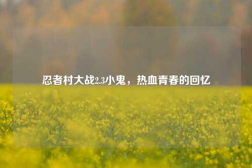 忍者村大战2.3小鬼，热血青春的回忆