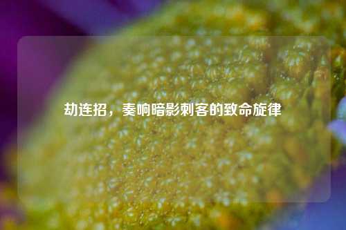 劫连招，奏响暗影刺客的致命旋律