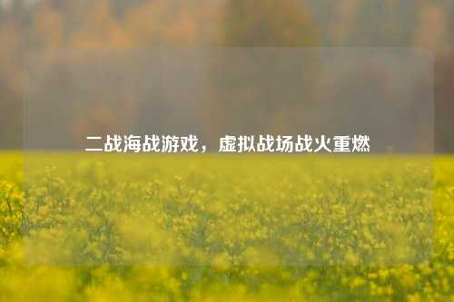 二战海战游戏，虚拟战场战火重燃