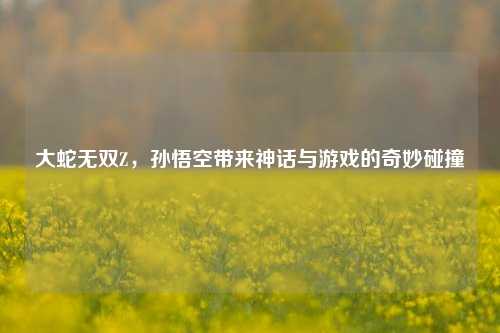 大蛇无双Z，孙悟空带来神话与游戏的奇妙碰撞