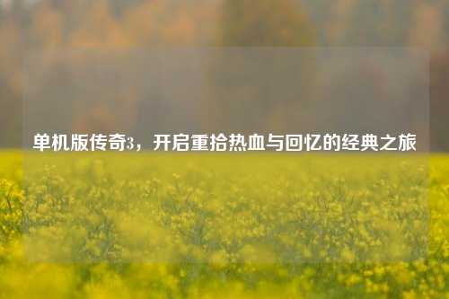 单机版传奇3，开启重拾热血与回忆的经典之旅