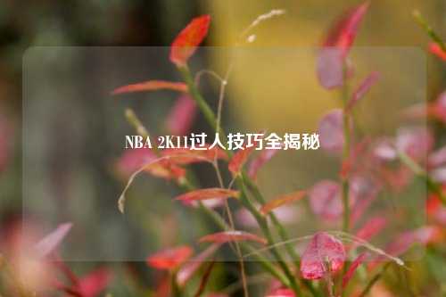 NBA 2K11过人技巧全揭秘