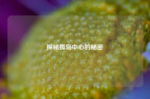 探秘孤岛中心的秘密