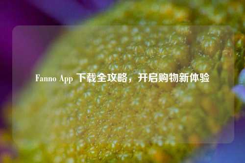 Fanno App 下载全攻略，开启购物新体验