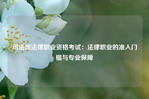 司法部法律职业资格考试：法律职业的准入门槛与专业保障