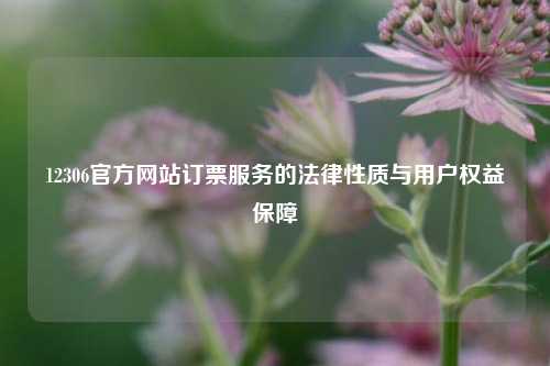 12306官方网站订票服务的法律性质与用户权益保障