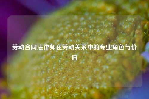 劳动合同法律师在劳动关系中的专业角色与价值