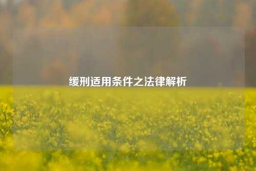 缓刑适用条件之法律解析