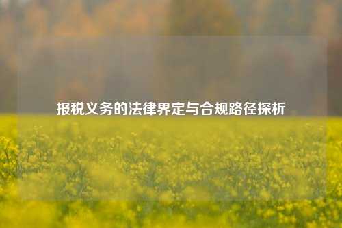 报税义务的法律界定与合规路径探析