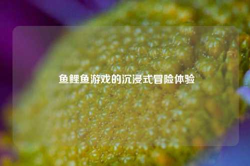  鱼鲤鱼游戏的沉浸式冒险体验
