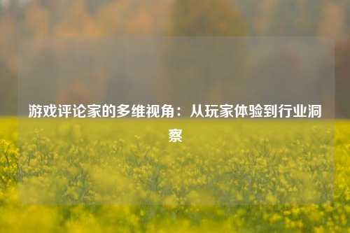 游戏评论家的多维视角：从玩家体验到行业洞察