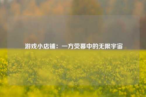  游戏小店铺：一方荧幕中的无限宇宙