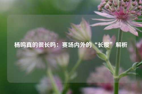 杨鸣真的很长吗:赛场内外的“长度”解析