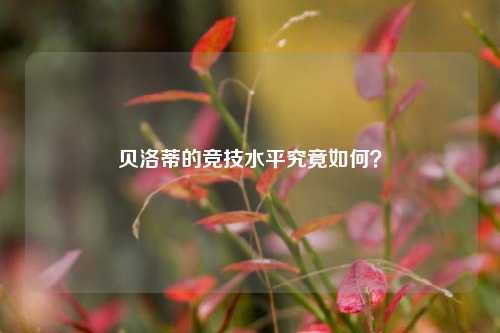 贝洛蒂的竞技水平究竟如何?