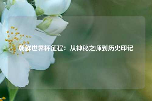朝鲜世界杯征程:从神秘之师到历史印记