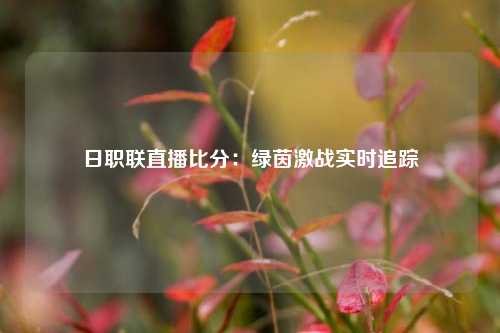 日职联直播比分:绿茵激战实时追踪