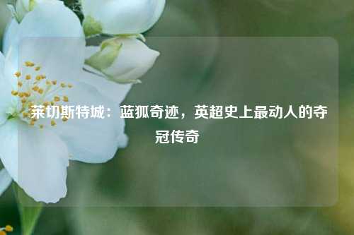 莱切斯特城:蓝狐奇迹,英超史上最动人的夺冠传奇