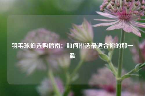 羽毛球拍选购指南:如何挑选最适合你的那一款