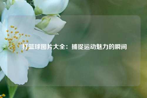  打篮球图片大全：捕捉运动魅力的瞬间