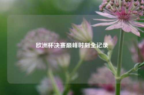 欧洲杯决赛巅峰时刻全记录