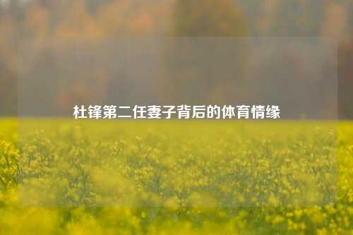 杜锋第二任妻子背后的体育情缘