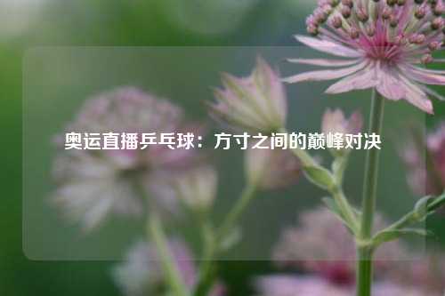 奥运直播乒乓球：方寸之间的巅峰对决
