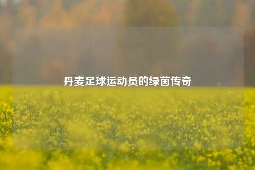 丹麦足球运动员的绿茵传奇