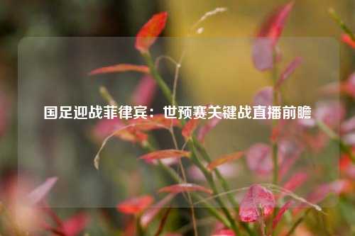 国足迎战菲律宾：世预赛关键战直播前瞻
