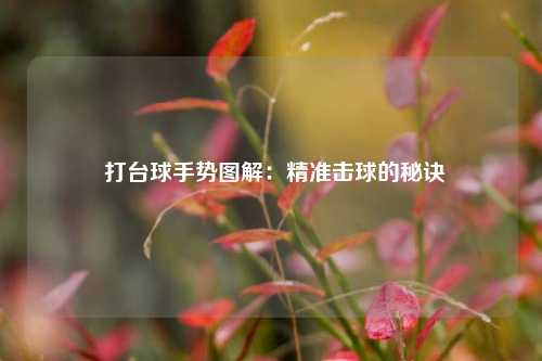  打台球手势图解：精准击球的秘诀