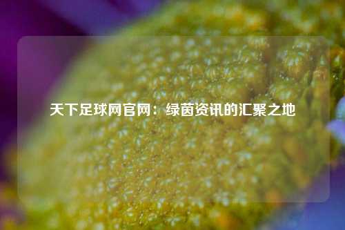 天下足球网官网:绿茵资讯的汇聚之地