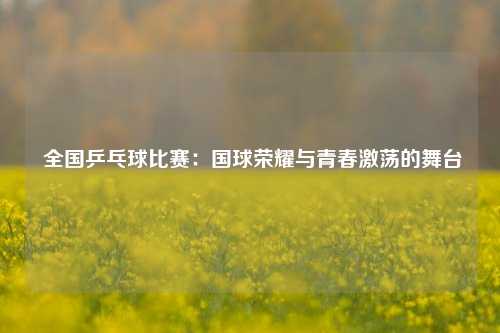  全国乒乓球比赛：国球荣耀与青春激荡的舞台