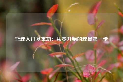篮球入门基本功：从零开始的球场第一步