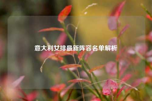 意大利女排最新阵容名单解析