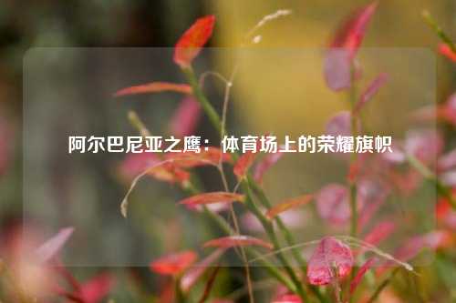  阿尔巴尼亚之鹰：体育场上的荣耀旗帜