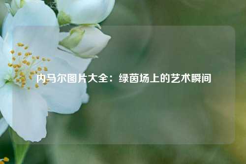 内马尔图片大全：绿茵场上的艺术瞬间