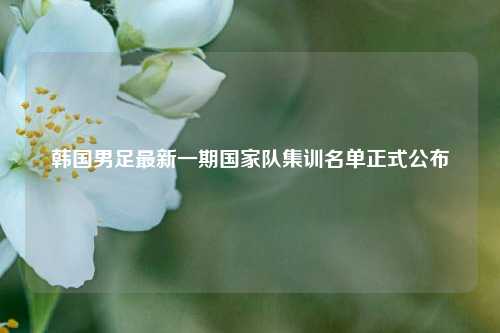韩国男足最新一期国家队集训名单正式公布