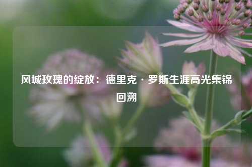 风城玫瑰的绽放:德里克·罗斯生涯高光集锦回溯