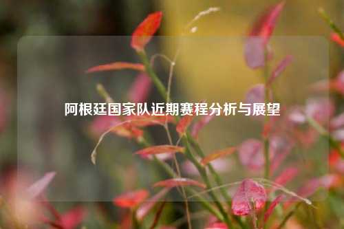 阿根廷国家队近期赛程分析与展望